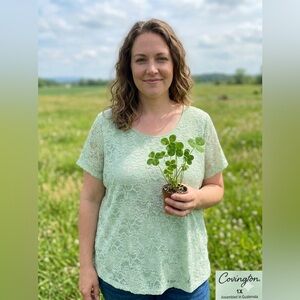 Covington Light Green Lace Short Sleeve Top